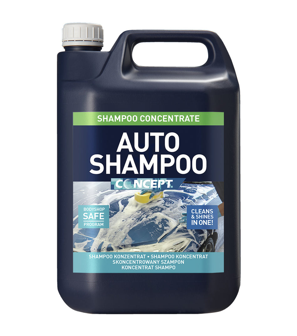 Concept Auto schampo